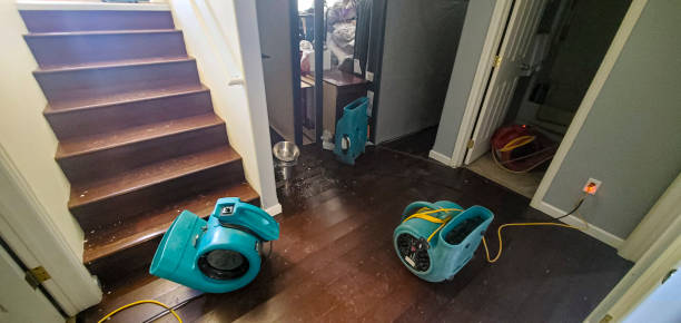 Best 24/7 water damage repair  in Belton, SC