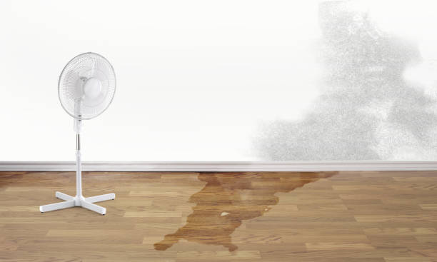  Belton, SC Water damage restoration Pros