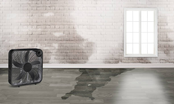 Best 24-hour water damage restoration  in Belton, SC