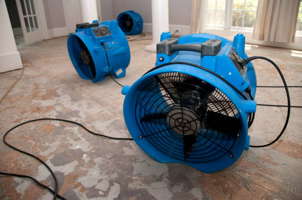 Reliable Belton, SC Water damage restoration Solutions