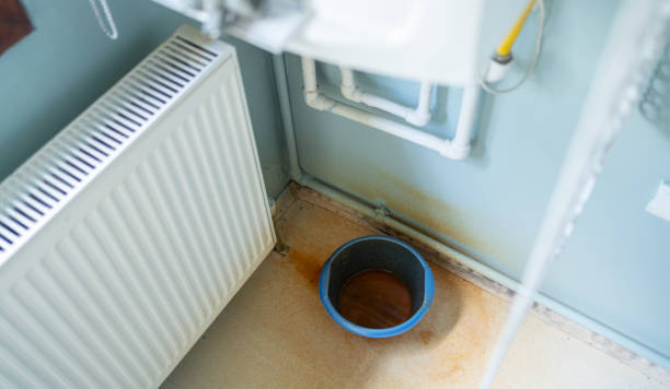 Best Local water damage restoration  in Belton, SC