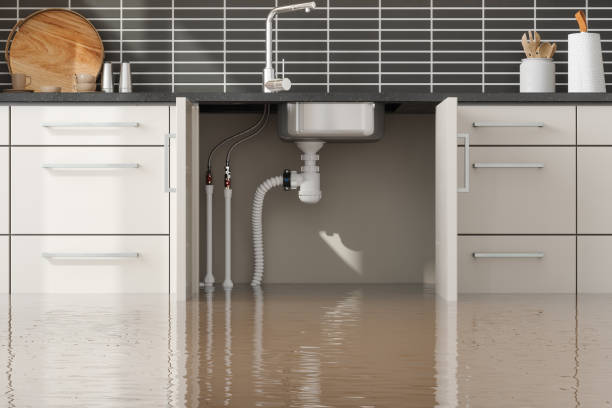 Best Emergency water damage restoration  in Belton, SC