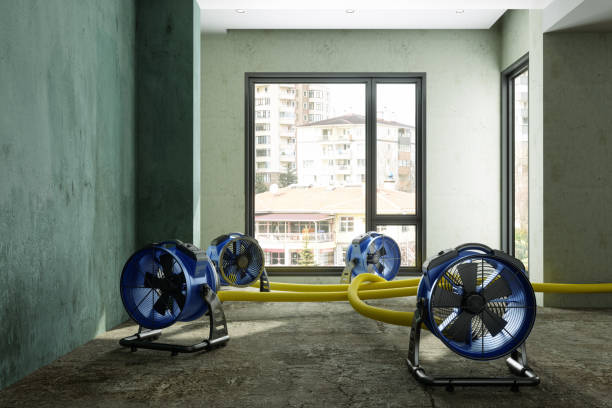 Trusted Belton, SC Water damage restoration Experts