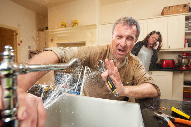 Best Basement water damage restoration  in Belton, SC